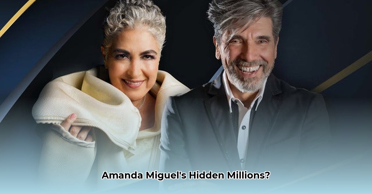 amanda-miguel-net-worth